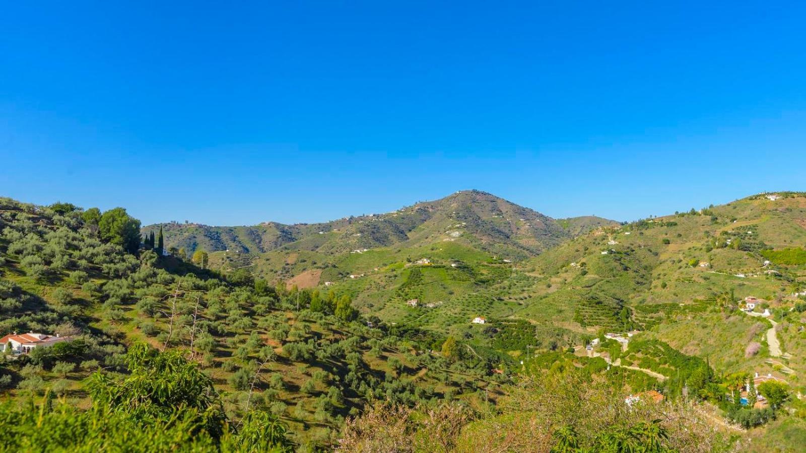 Villa Las Palmeras De Torrox By Ruralidays 外观 照片